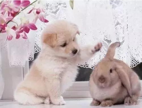 定制服装的魅力有哪些?